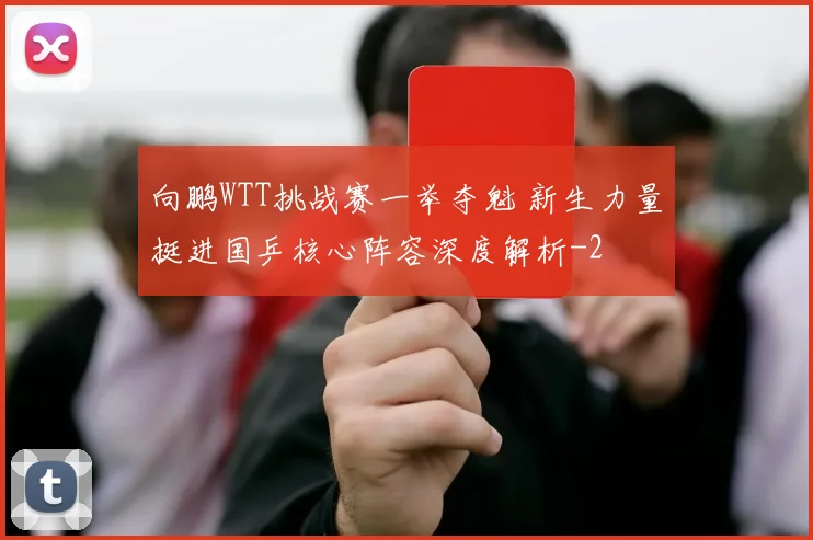 向鹏WTT挑战赛一举夺魁 新生力量挺进国乒核心阵容深度解析