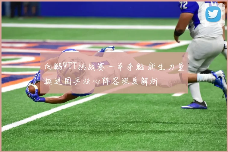 向鹏WTT挑战赛一举夺魁 新生力量挺进国乒核心阵容深度解析