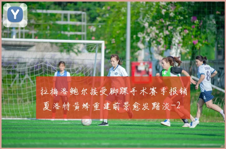 拉梅洛鲍尔接受脚踝手术赛季报销 夏洛特黄蜂重建前景愈发黯淡
