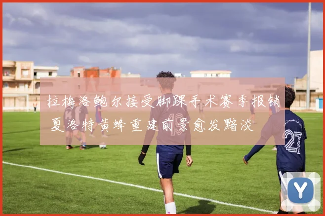 拉梅洛鲍尔接受脚踝手术赛季报销 夏洛特黄蜂重建前景愈发黯淡